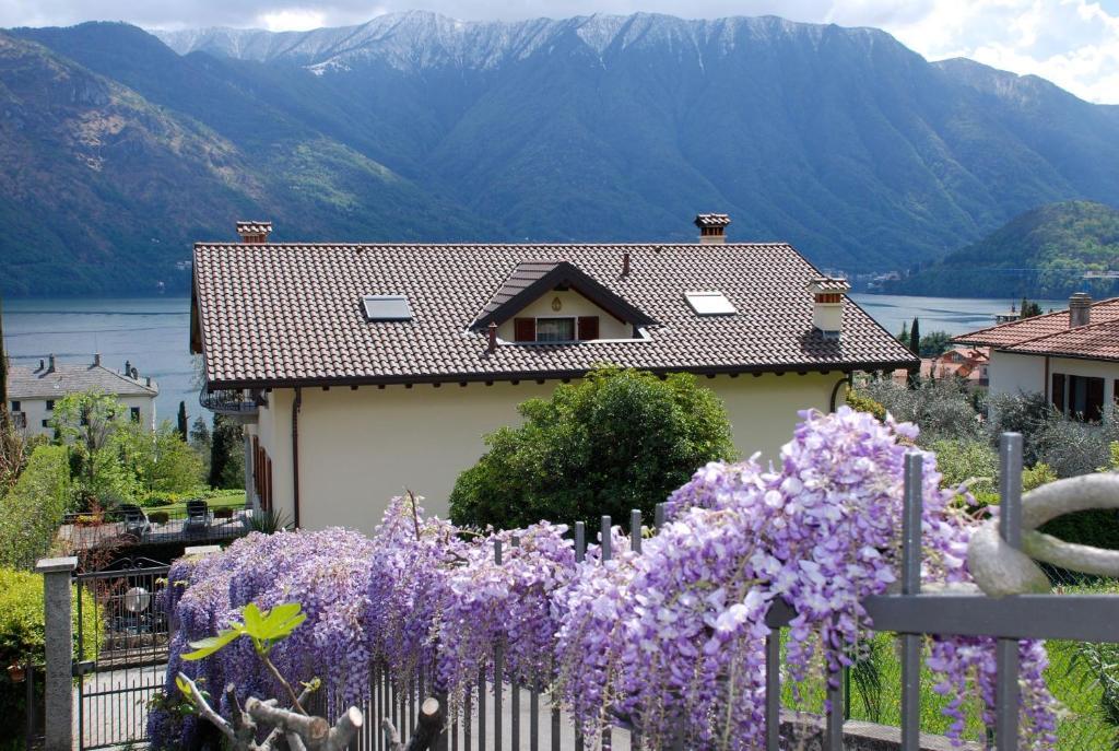 Casa Meraviglia Daire Tremezzo Dış mekan fotoğraf